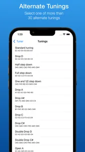Guitar Tuner EM-1 screenshot 2