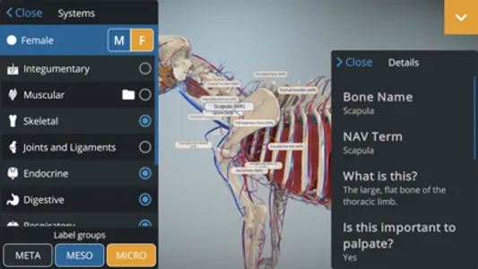 EasyAnatomy: 3D Canine Anatomy screenshot 4