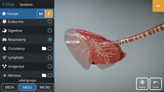 EasyAnatomy: 3D Canine Anatomy screenshot 6