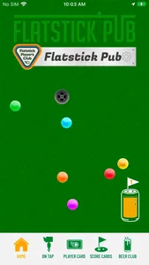 Flatstick Pub screenshot 0