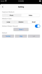 Motion Detector Camera screenshot 4