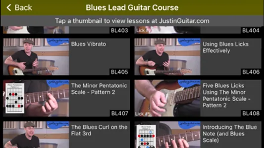 Blues Licks screenshot 5