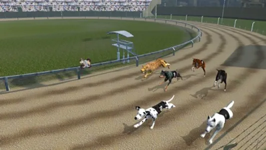 Crazy Dog Racing -Dog Games screenshot 0