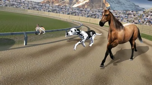 Crazy Dog Racing -Dog Games screenshot 1
