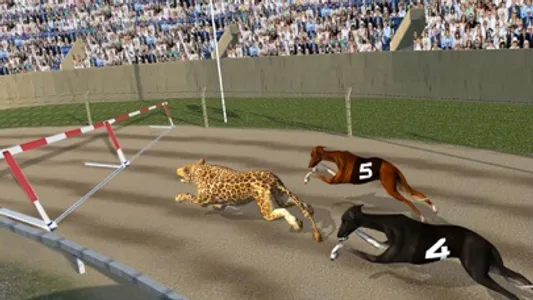 Crazy Dog Racing -Dog Games screenshot 2