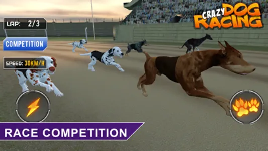 Crazy Dog Racing -Dog Games screenshot 4