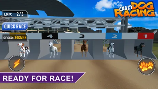 Crazy Dog Racing -Dog Games screenshot 5