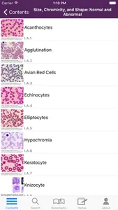 Lichtman's Atlas of Hematology screenshot 2