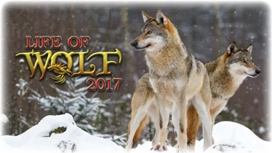 Life Of Wolf - Wild Life Sim screenshot 0