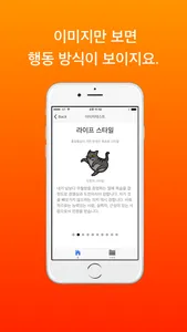 이미지 테스트 screenshot 2