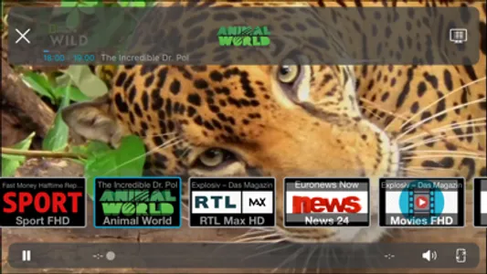 IPTV Streamer Pro screenshot 7