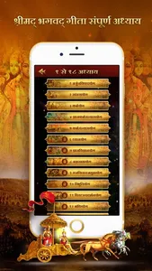 Bhagavad Gita Hindi with Audio screenshot 1