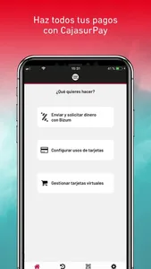 CajaSurPay screenshot 0