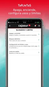 CajaSurPay screenshot 3