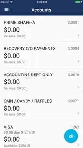 DEXSTA FCU Mobile screenshot 1