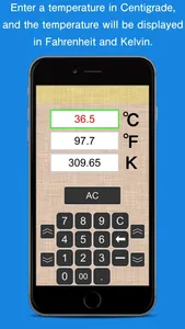 TemperatureConverterY screenshot 1