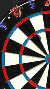 Bulls i Darts: Masters Edition screenshot 6