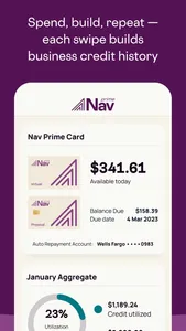 Nav Business Financial Health screenshot 6