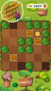 My Sokoban Puzzles screenshot 3