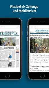 RHEINPFALZ-App screenshot 1