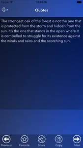 Napoleon Hill Qoutes screenshot 3