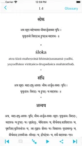 Bhagavad Gita - Sri Aurobindo screenshot 3