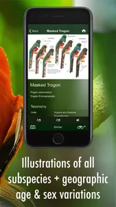 All Birds Guianas screenshot 2