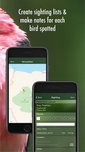 All Birds Guianas screenshot 6