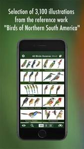 All Birds Guianas screenshot 7