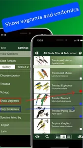 All Birds Trinidad and Tobago screenshot 4