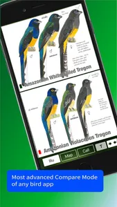 All Birds Trinidad and Tobago screenshot 6