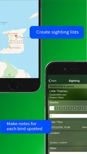 All Birds Trinidad and Tobago screenshot 8