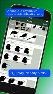 All Birds Trinidad and Tobago screenshot 9