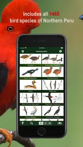 All Birds Northern Peru screenshot 1