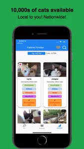 Feline Finder - When Adopting screenshot 1