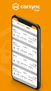 Carsync Fleet screenshot 0