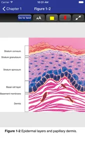 Dermatology Secrets Plus, 5/E screenshot 3