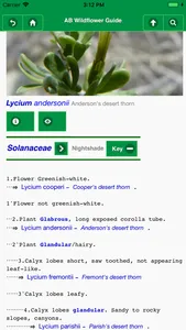 Anza-Borrego Wildflower Guide screenshot 4