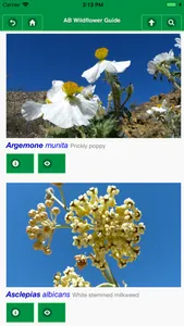 Anza-Borrego Wildflower Guide screenshot 5