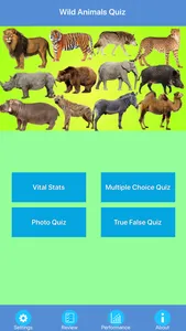 Wild Animals Quiz screenshot 0