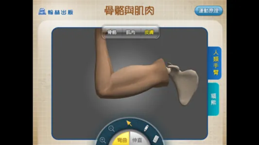 3D骨骼與肌肉 screenshot 0