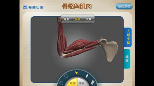 3D骨骼與肌肉 screenshot 1