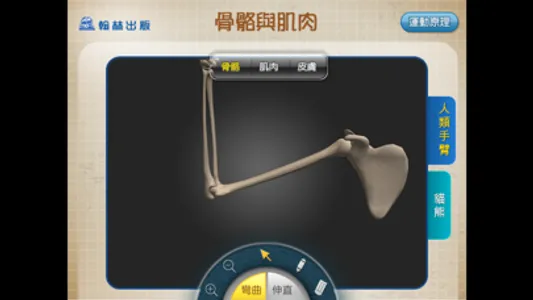 3D骨骼與肌肉 screenshot 2