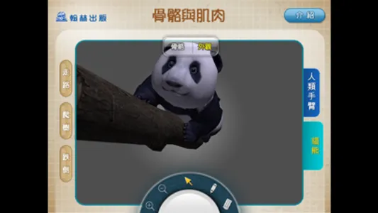 3D骨骼與肌肉 screenshot 3