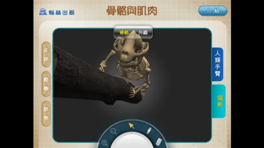 3D骨骼與肌肉 screenshot 4