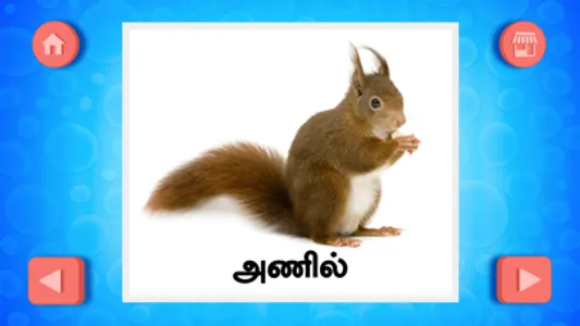 Tamil Mazhalai Chorkkal screenshot 1