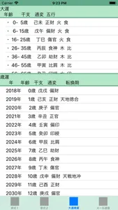 命式表Lite screenshot 2