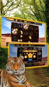 Wild Tiger Slots Machine Games screenshot 4