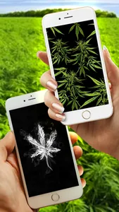 WeedPapers - Original Weed Wallpapers screenshot 4