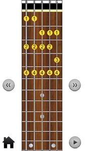 5 String Bass Modes screenshot 4